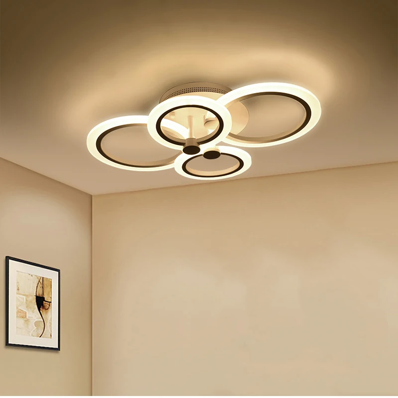 ceiling light (21)