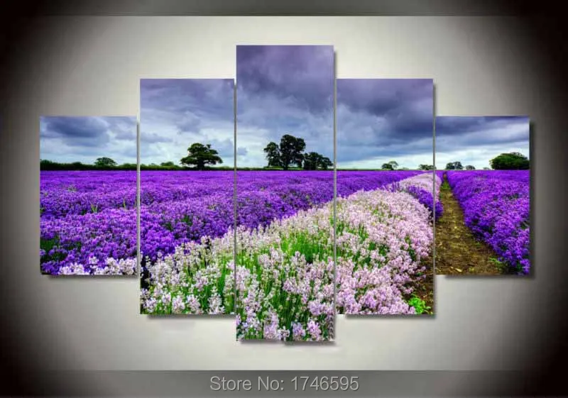 Lavender garden