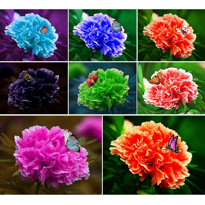 5D-DIY-Diamond-Painting-Colorful-Peony-flowers-butterfly-Embroidery-Full-Square-Diamond-Cross-Stitch-Rhinestone-Mosaic (8)