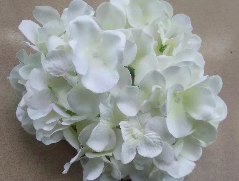 15CM/5.9\ 15CM/5.9\