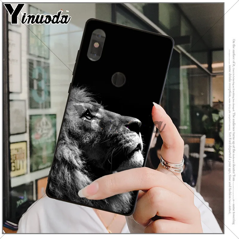 Animals The lion