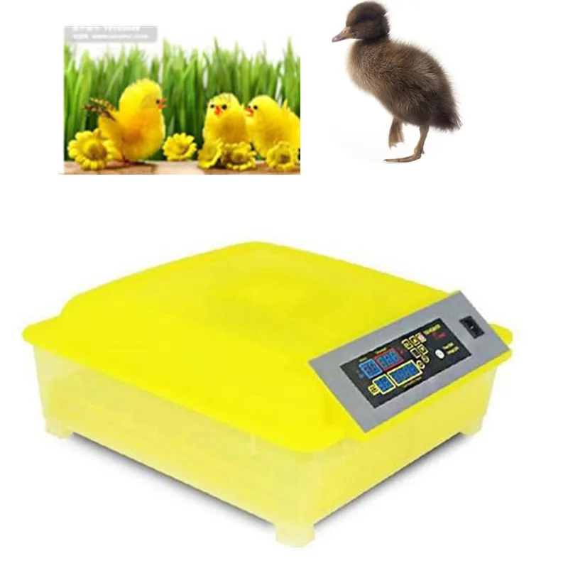 

Automatic 48 Eggs Incubator Poultry Hatcher Egg tester Chicken Birds Quail Incubator