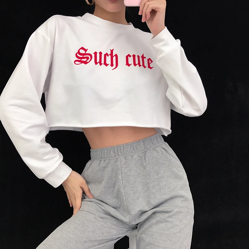 

HEYounGIRL Casual Loose Crop Top Hoodie Harajuku Long Sleeve Cropped Hoodie Sweatshirt Letter Print Womens Hoodies Pullover 2019