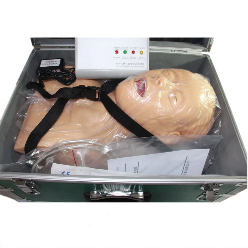 220V Intubation Manikin Учебная модель ПВХ Airway управление тренером медицинская школа студенческий образовательный обучающий источник