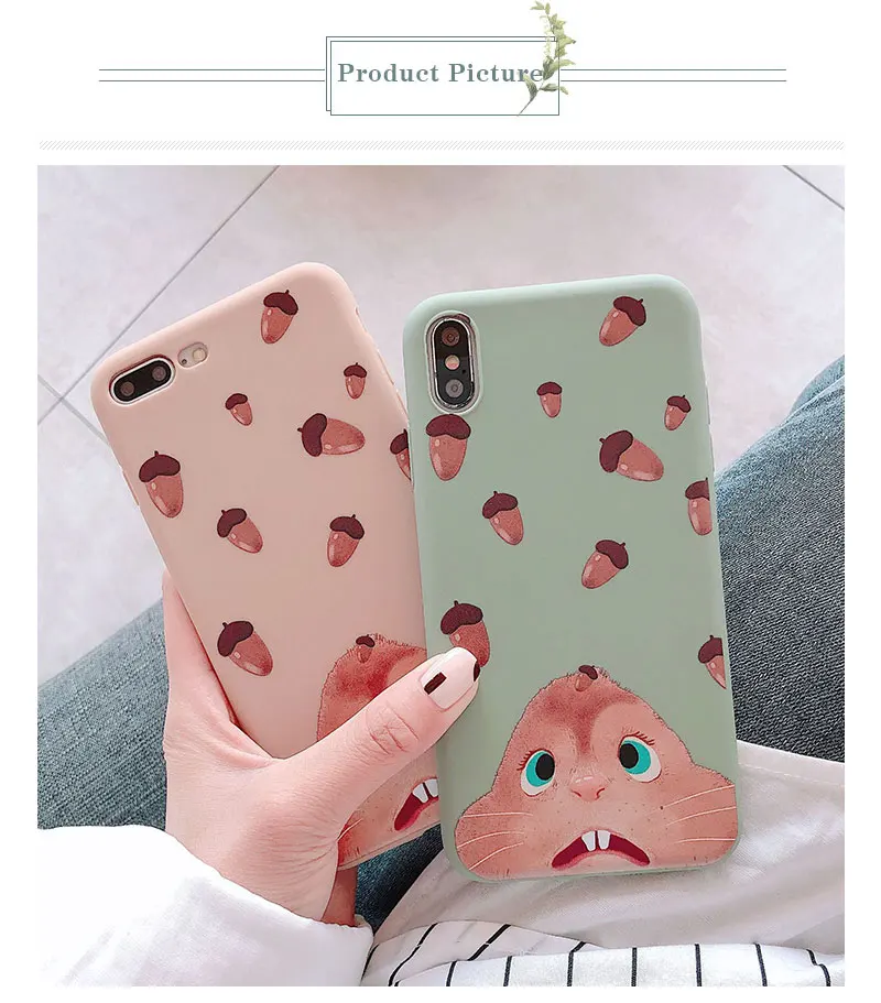 Matte Squirrel Phone Case For iPhone 6 7 8 Plus Case Cover Silicone Phone Cases For X XS 8Plus 10 XR Max 6s Cases Capinha Shell  (17)