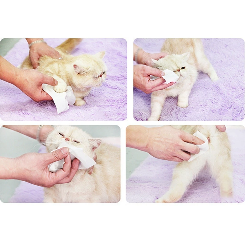 80 шт Pet кошачий глаз влажные салфетки кошки чистящие салфетки посвященный влажная салфетка собака гигиенические салфетки домашних животных глаз поставки