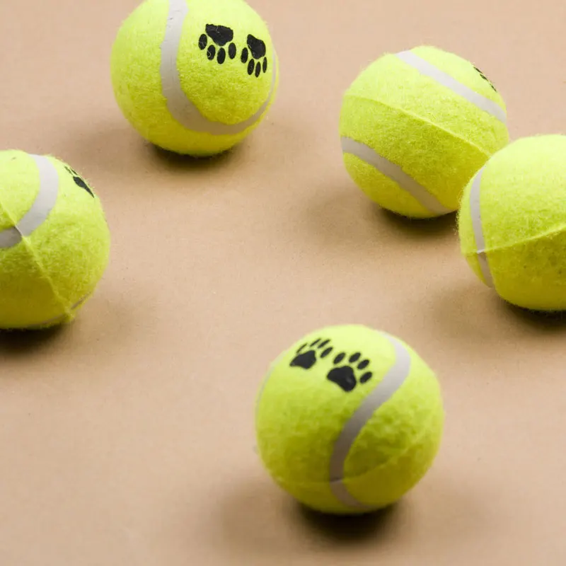 2 toys for dogs