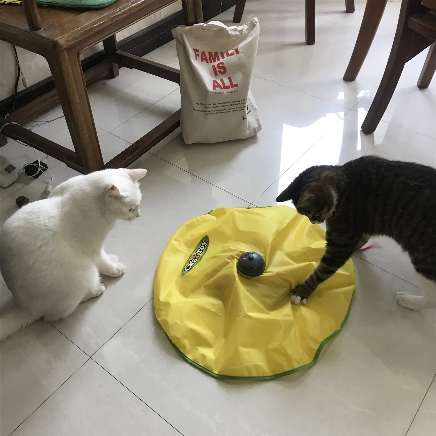 Cat and Mouse Kitty Toy Plate Mat Advanced Nylon Durable Non-toxic Harmless Creative Keep Pet Optimistic Healthy Dropshipping