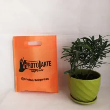 Wholesales Custom Printed Logo Gift Bags for Kids Birthday Elegant Recyclable Non Woven Cloth Loot Goody Bag Wigs Candy Wrapping