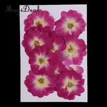 12 шт. китайская Роза прессованный натуральный сушеный цветок для поделок из смолы орнамент для изготовления свечей украшения фиолетовый 3-4 см