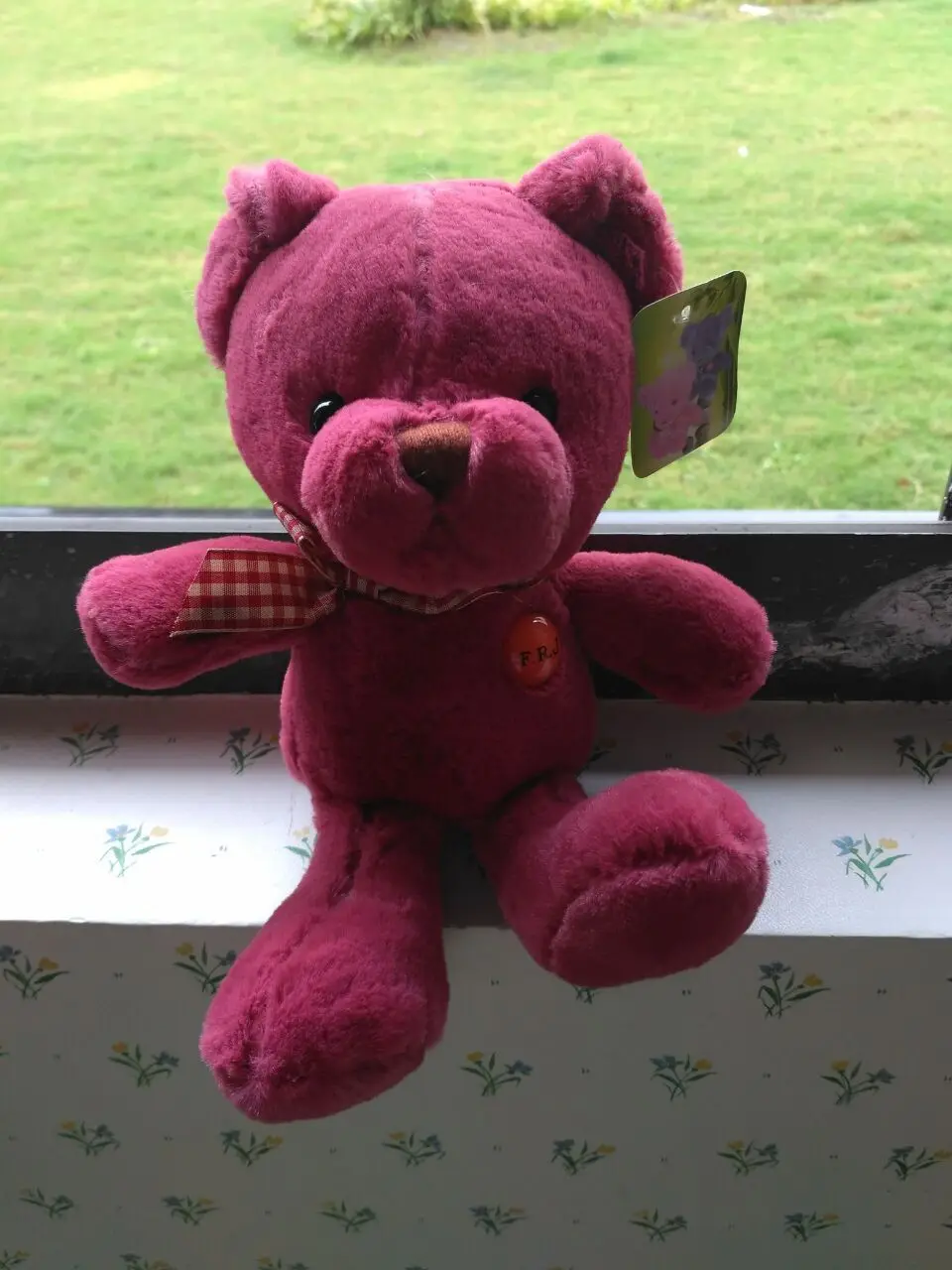 dark red teddy bear