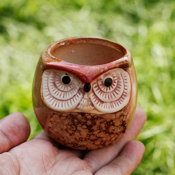 

Ceramic Cute Owl Flower Pot Clay Succulent Plants Pot Flower Bonsai Planter Decorative Garden Nursery Pots Gift Flowerpot