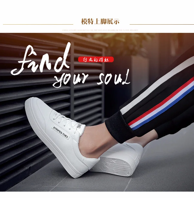 1-(2)_01.jpg