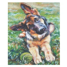 Военная Собака полный квадратный алмаз вышивка 5D Diy роспись бриллиантовыми стразами, на заказ foto, мозаика вышивка крестиком Z481