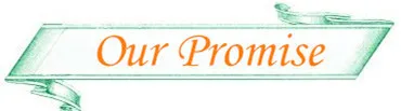 our promise