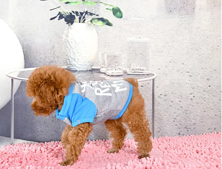 9007028222_919338936