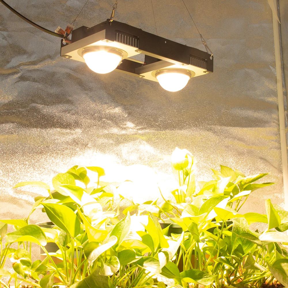 CXB3590 COB светодиодный светильник для выращивания полный спектр 100 Вт 200 Вт Citizen 1212 светодиодный светильник для выращивания растений для комнатных палаток теплиц гидропоники
