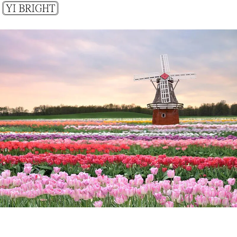 tooopen_14551871