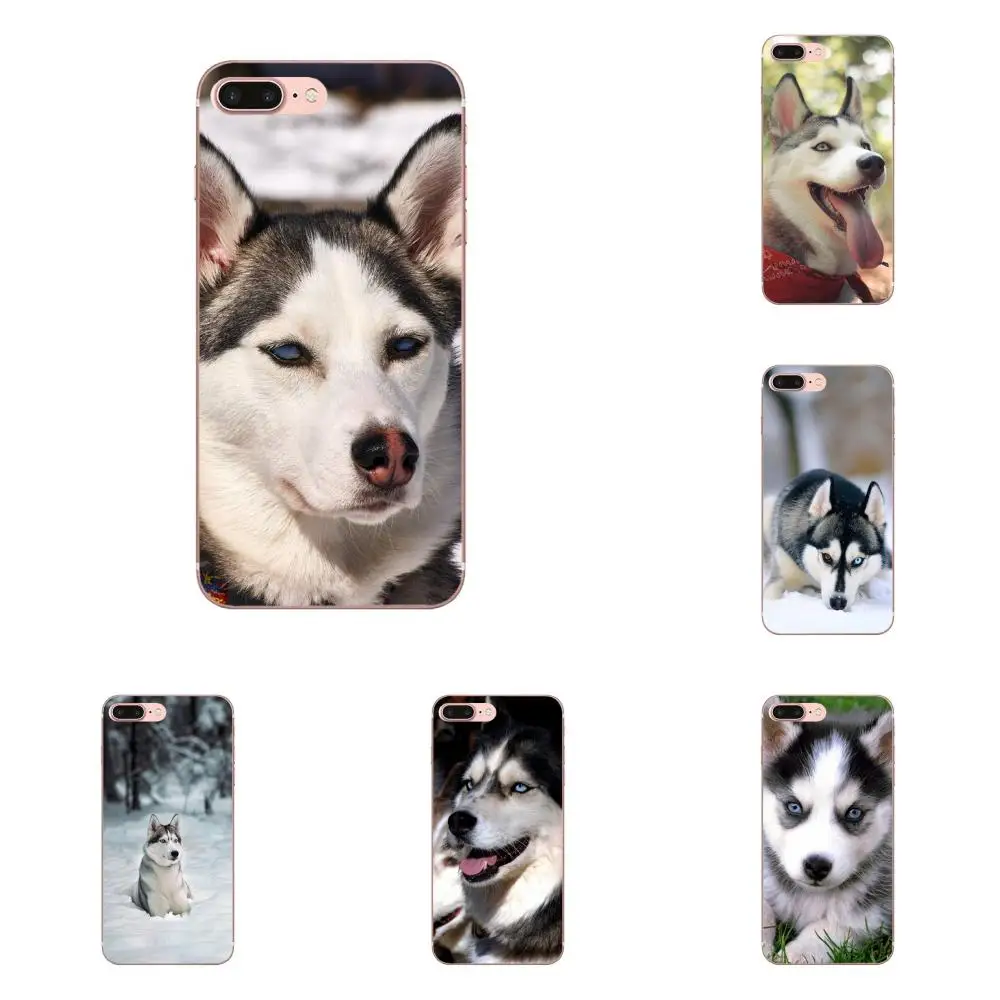 Мягкий телефон Alaskan Malamute Siberian Husky Dog для Huawei P7 P8 P9 P10 P20 P30 Lite Mini Plus Pro 2017 2018