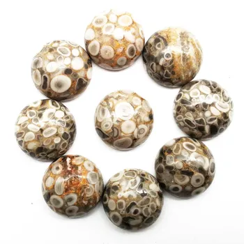 

(10 pieces/lot) Wholesale Natural Snail Fossils Round CAB Cabochon 15x6mm yl062823