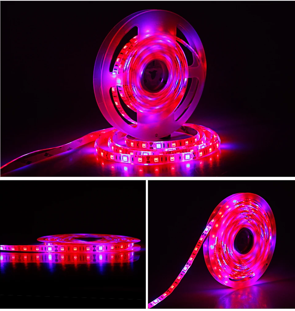 Plant Grow Lights Full Spectrum LED Strip 12V Flowers Phyto Lamp 5M Dimmable Red Blue For Greenhouse Hydroponic + Power Adapter (11)