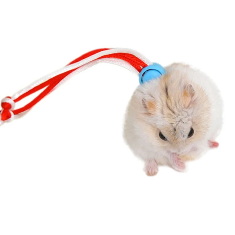 2018 Adjustable Leash Collar Guinea Pig Small Pets Rope Hamster