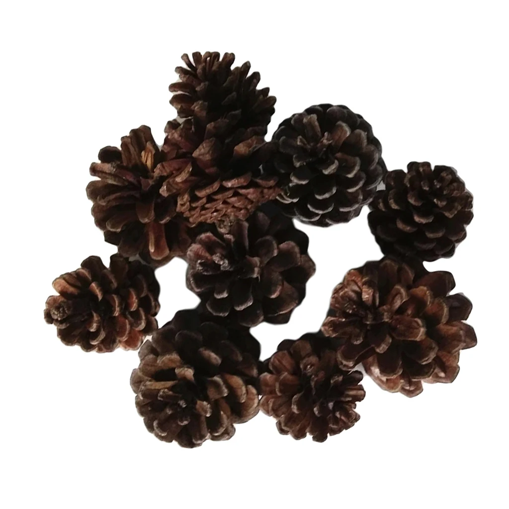 10pcs Natural Pine Cones In Bulk Dried Flowers Table Ornament for Home Christmas Decoration DIY Floral Craft Arrangement