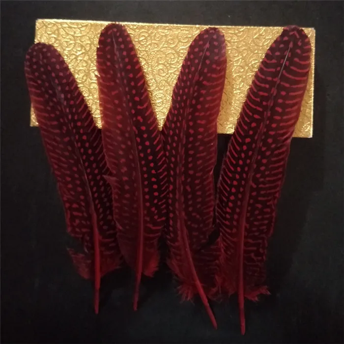 pearl pheasant feathers 1 (8)