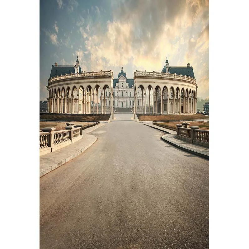 

The Roman Colosseum photo backgrounds vinyl printed photography backdrops for photography studio camera fotografia CM-5879