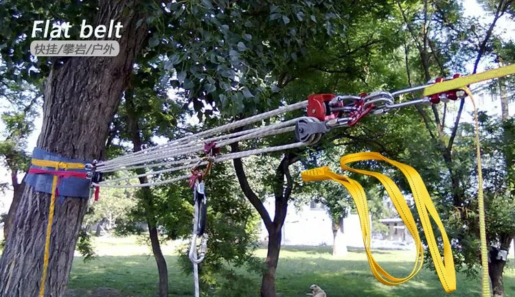 2389033272_847849013