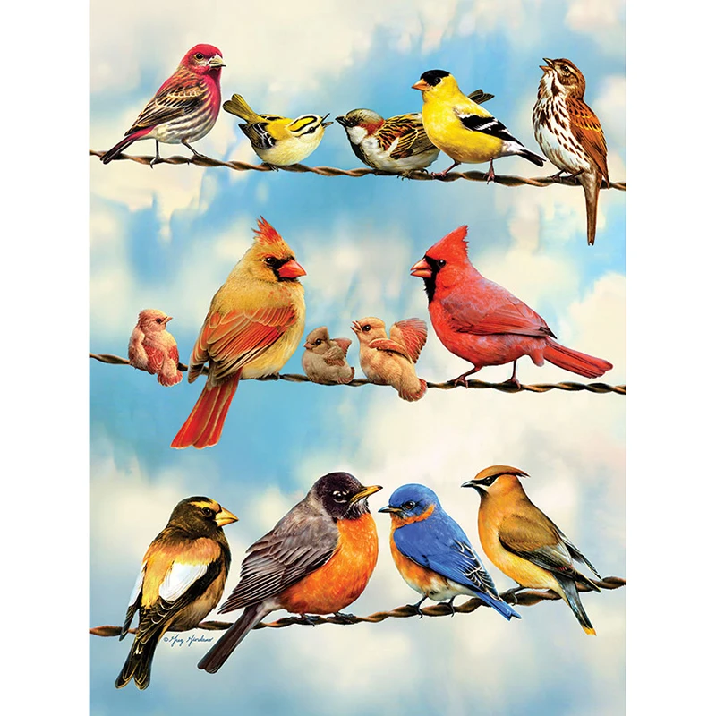 2025-BirdsonaWire (2)