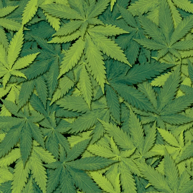 

cnHGarts 10 square meters 50cm width Hydrographic Water Transfer Film Water Transfer Paper WTP433