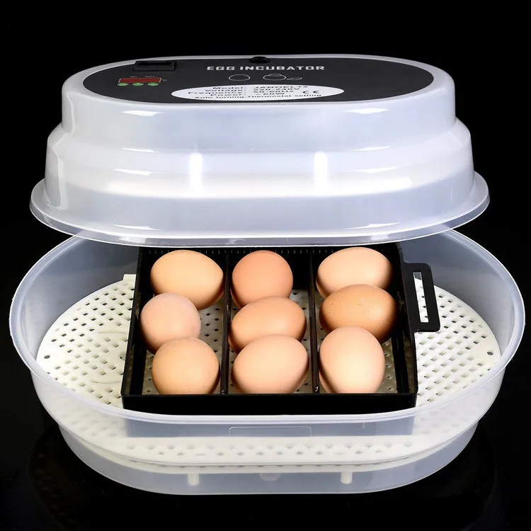 egg-incubator-07