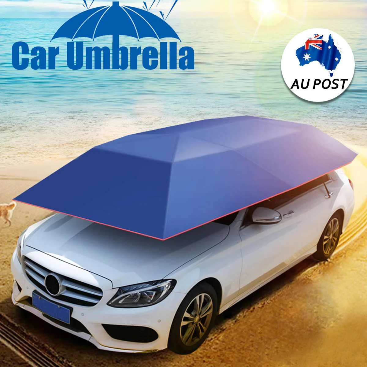 4,2x2,1 М Портативный уличный автомобильный тент зонтик на крышу с защитой от ультрафиолета, наборы для защиты автомобиля, зонт от солнца
