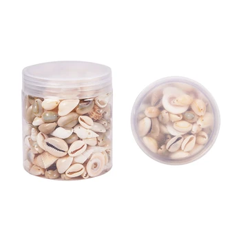 

Natural Mixed Shell Conch Boxed Diy Jewelry Accessories Aquarium Landscaping Decorations