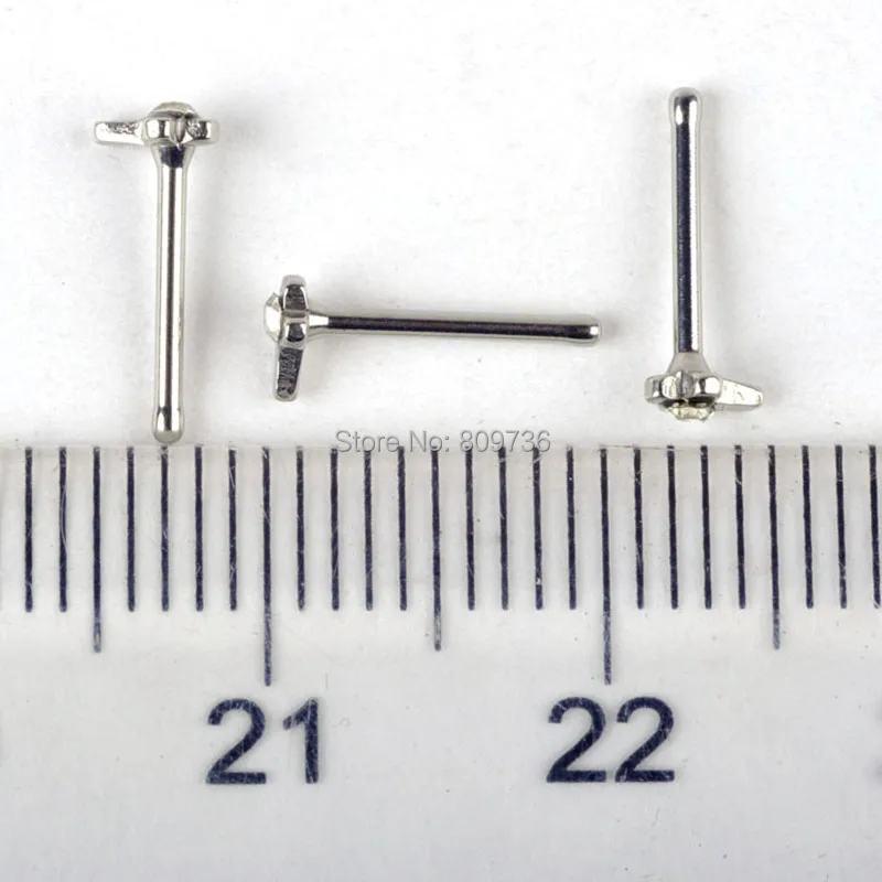 NS2 (8)