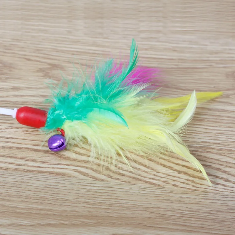 DN0429CS (4)