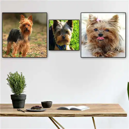 

Custom yorkshire-terrier-dog Poster Printing Posters Cloth Fabric Wall Art For Living Room Decor#19-01-15-206