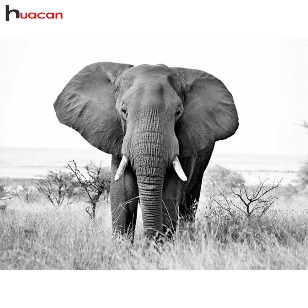 

HUACAN 5D DIY Diamond Painting Elephant Full Square Diamond Mosaic Animal Diamond Embroidery Cross Stitch Resin Drill