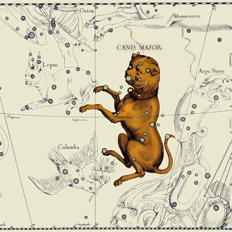 Canis Major Constellation  1687 Poster Print by Science Source (36 x 24)