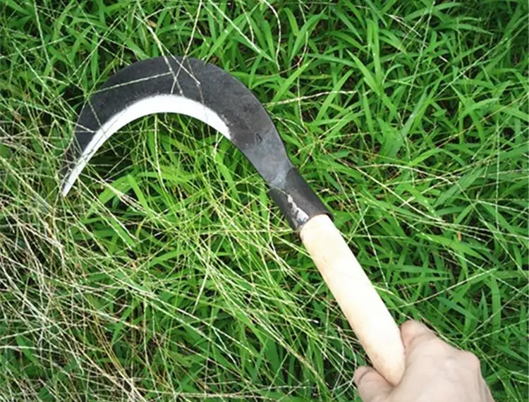 мачете для рубки тростника. нож для срезания тростника. резак для тростника 6 букв. резак для тростника. мачете тростник.