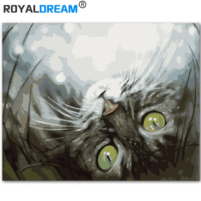ROYALDREAM Серая кошка животное DIY цифровая картина маслом по номерам Европейская