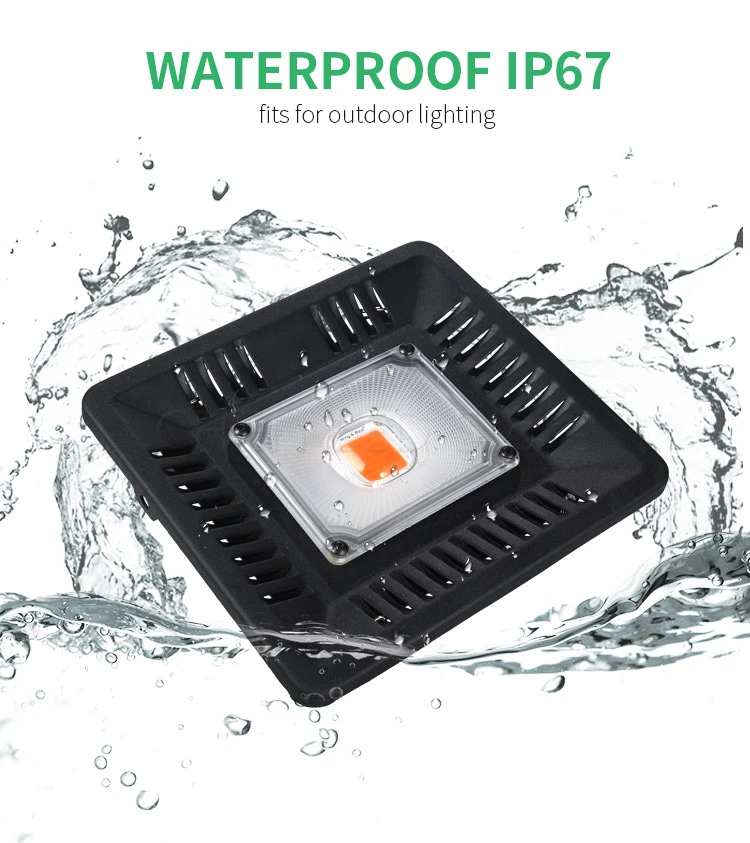 8867925768_884593302