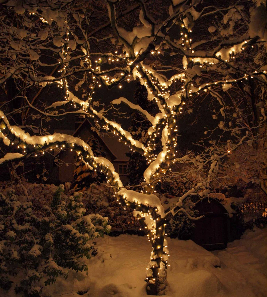 Snowy-Outdoor-Tree-Warm-White-String-Lights