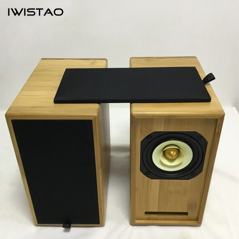 IWISTAO HIFI 4 Inches Full Range Labyrinth Speaker