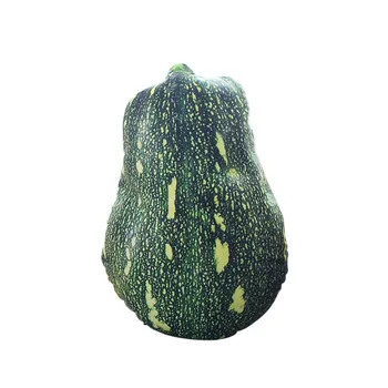 

New Vegetable Fruit Pillow Cushion Cucumber Shape Pillow Simulation Food Doll Plush Toy Plush + Fiber Cotton Home Decor 10Apr 26