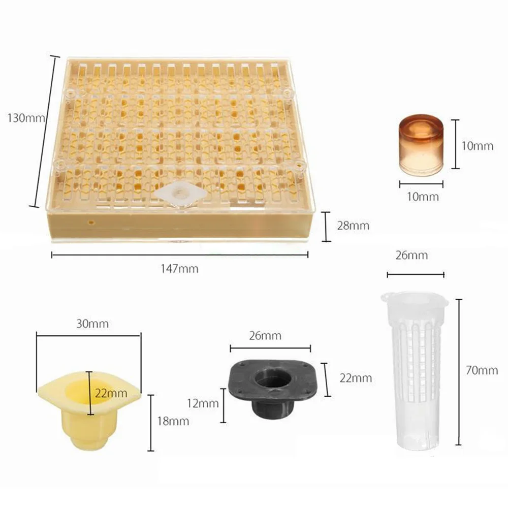 Beekeeping Tools Equipment Set Queen Rearing System Cultivating Box Plastic Bee Cell Cups Cup kit Queen Cage Feeding Tools