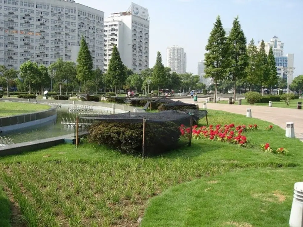 Tewango verde azul negro de malla de bloqueador solar sombra paño 50% 70% 90% UV jardín y planta de efecto invernadero sombra Panel 6x16FT Tewango verde azul negro de malla de bloqueador solar sombra paño 50% 70% 90% UV jardín y planta de efecto invernadero sombra Panel 6x16FT