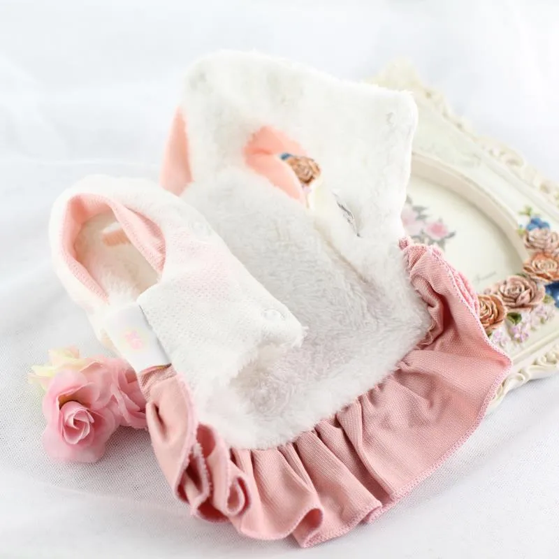 6DLP41 (4)