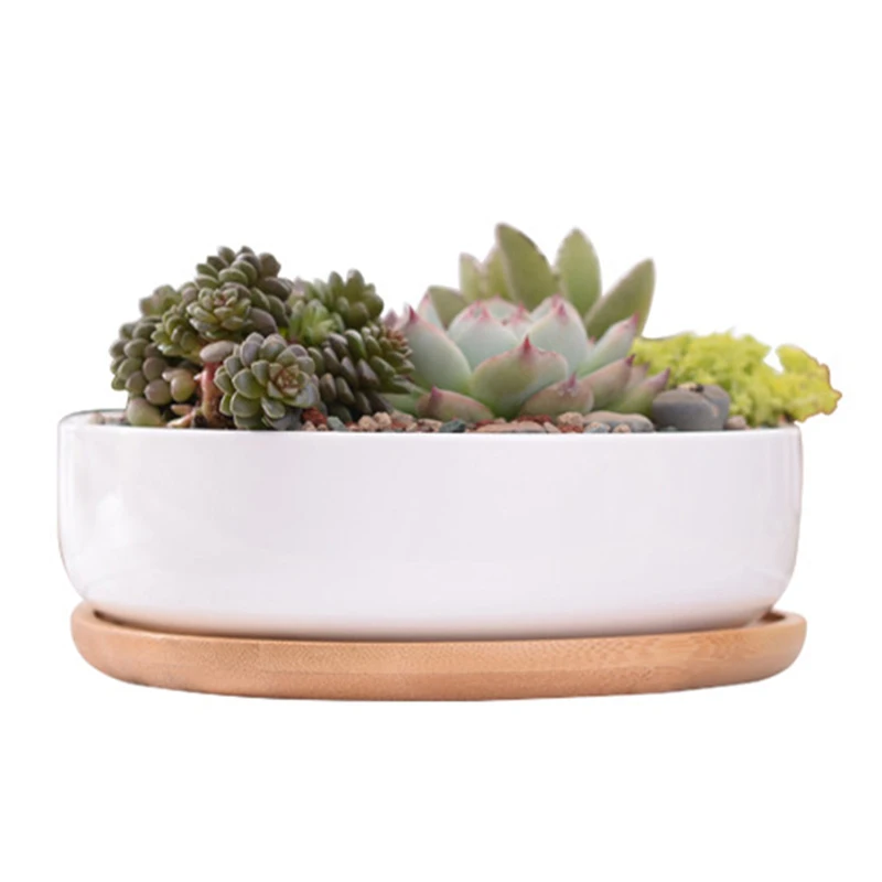 

SHGO-1 Set Minimalist White Ceramic Succulent Plant Pot Porcelain Deep Rounded Pot Desktop Pot Zakka Home Decor (1 Pot + 1 Tray)